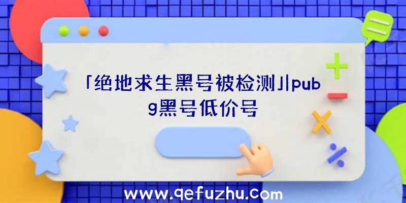 「绝地求生黑号被检测」|pubg黑号低价号